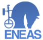 ENEAS, un referente en el sector de la consultoría en España